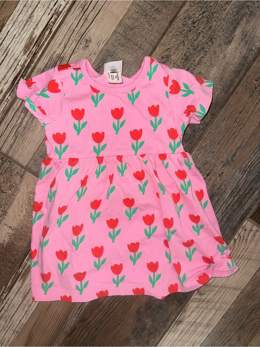 Hanna Andersson Pink Dress with Red Tulip Print